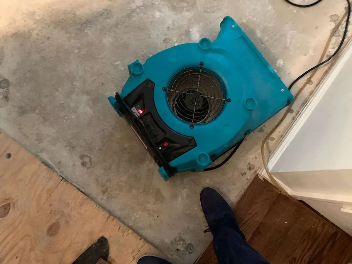 Air mover drying subfloor during Leak Detection & Repair in Guadalupe